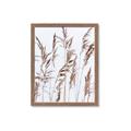 Picture of Wheat in the Wind III _GroupedProduct_Rectangle_Portrait_Photography _GroupedProduct_Rectangle_Portrait_Framed_Matted_