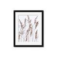 Picture of Wheat in the Wind III _GroupedProduct_Rectangle_Portrait_Photography _GroupedProduct_Rectangle_Portrait_Framed_Matted_