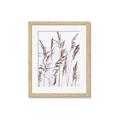 Picture of Wheat in the Wind III _GroupedProduct_Rectangle_Portrait_Photography _GroupedProduct_Rectangle_Portrait_Framed_Matted_
