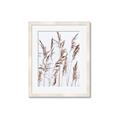 Picture of Wheat in the Wind III _GroupedProduct_Rectangle_Portrait_Photography _GroupedProduct_Rectangle_Portrait_Framed_Matted_