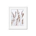 Picture of Wheat in the Wind III _GroupedProduct_Rectangle_Portrait_Photography _GroupedProduct_Rectangle_Portrait_Framed_Matted_