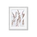 Picture of Wheat in the Wind III _GroupedProduct_Rectangle_Portrait_Photography _GroupedProduct_Rectangle_Portrait_Framed_Matted_