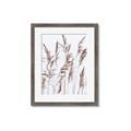 Picture of Wheat in the Wind III _GroupedProduct_Rectangle_Portrait_Photography _GroupedProduct_Rectangle_Portrait_Framed_Matted_