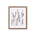 Picture of Wheat in the Wind III _GroupedProduct_Rectangle_Portrait_Photography _GroupedProduct_Rectangle_Portrait_Framed_Matted_