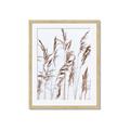 Picture of Wheat in the Wind III _GroupedProduct_Rectangle_Portrait_Photography _GroupedProduct_Rectangle_Portrait_Framed_Matted_