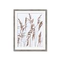 Picture of Wheat in the Wind III _GroupedProduct_Rectangle_Portrait_Photography _GroupedProduct_Rectangle_Portrait_Framed_Matted_