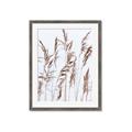 Picture of Wheat in the Wind III _GroupedProduct_Rectangle_Portrait_Photography _GroupedProduct_Rectangle_Portrait_Framed_Matted_