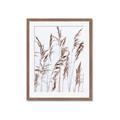 Picture of Wheat in the Wind III _GroupedProduct_Rectangle_Portrait_Photography _GroupedProduct_Rectangle_Portrait_Framed_Matted_