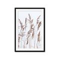 Picture of Wheat in the Wind III _GroupedProduct_Rectangle_Portrait_Photography _GroupedProduct_Rectangle_Portrait_Framed_Matted_