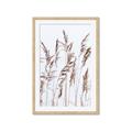 Picture of Wheat in the Wind III _GroupedProduct_Rectangle_Portrait_Photography _GroupedProduct_Rectangle_Portrait_Framed_Matted_