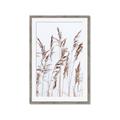 Picture of Wheat in the Wind III _GroupedProduct_Rectangle_Portrait_Photography _GroupedProduct_Rectangle_Portrait_Framed_Matted_