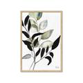 Picture of Layered Botanical _GroupedProduct_Rectangle_Portrait_Framed_Matted_