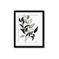 Picture of Layered Botanical _GroupedProduct_Rectangle_Portrait_Framed_Matted_