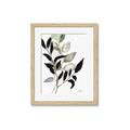 Picture of Layered Botanical _GroupedProduct_Rectangle_Portrait_Framed_Matted_