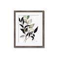 Picture of Layered Botanical _GroupedProduct_Rectangle_Portrait_Framed_Matted_