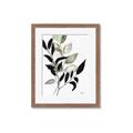 Picture of Layered Botanical _GroupedProduct_Rectangle_Portrait_Framed_Matted_
