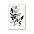Picture of Layered Botanical _GroupedProduct_Rectangle_Portrait_Framed_Matted_