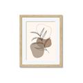 Picture of Mid Century Botanical II _GroupedProduct_Rectangle_Portrait_Framed_Matted_