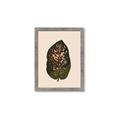 Picture of Color Block Leaves I  _GroupedProduct_Rectangle_Portrait_Framed_Matted_