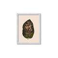 Picture of Color Block Leaves I  _GroupedProduct_Rectangle_Portrait_Framed_Matted_