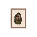 Picture of Color Block Leaves I  _GroupedProduct_Rectangle_Portrait_Framed_Matted_