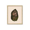 Picture of Color Block Leaves I  _GroupedProduct_Rectangle_Portrait_Framed_Matted_