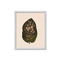 Picture of Color Block Leaves I  _GroupedProduct_Rectangle_Portrait_Framed_Matted_