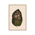 Picture of Color Block Leaves I  _GroupedProduct_Rectangle_Portrait_Framed_Matted_
