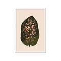 Picture of Color Block Leaves I  _GroupedProduct_Rectangle_Portrait_Framed_Matted_