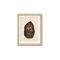 Picture of Color Block Leaves I  _GroupedProduct_Rectangle_Portrait_Framed_Matted_