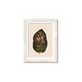 Picture of Color Block Leaves I  _GroupedProduct_Rectangle_Portrait_Framed_Matted_