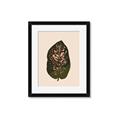 Picture of Color Block Leaves I  _GroupedProduct_Rectangle_Portrait_Framed_Matted_