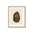 Picture of Color Block Leaves I  _GroupedProduct_Rectangle_Portrait_Framed_Matted_