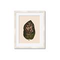 Picture of Color Block Leaves I  _GroupedProduct_Rectangle_Portrait_Framed_Matted_