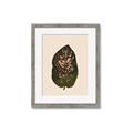 Picture of Color Block Leaves I  _GroupedProduct_Rectangle_Portrait_Framed_Matted_