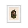 Picture of Color Block Leaves I  _GroupedProduct_Rectangle_Portrait_Framed_Matted_