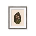 Picture of Color Block Leaves I  _GroupedProduct_Rectangle_Portrait_Framed_Matted_