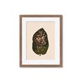 Picture of Color Block Leaves I  _GroupedProduct_Rectangle_Portrait_Framed_Matted_