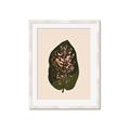 Picture of Color Block Leaves I  _GroupedProduct_Rectangle_Portrait_Framed_Matted_