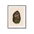 Picture of Color Block Leaves I  _GroupedProduct_Rectangle_Portrait_Framed_Matted_