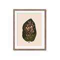 Picture of Color Block Leaves I  _GroupedProduct_Rectangle_Portrait_Framed_Matted_