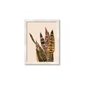 Picture of Color Block Leaves V _GroupedProduct_Rectangle_Portrait_Framed_Matted_