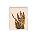 Picture of Color Block Leaves V _GroupedProduct_Rectangle_Portrait_Framed_Matted_