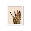 Picture of Color Block Leaves V _GroupedProduct_Rectangle_Portrait_Framed_Matted_