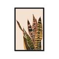 Picture of Color Block Leaves V _GroupedProduct_Rectangle_Portrait_Framed_Matted_
