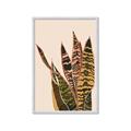 Picture of Color Block Leaves V _GroupedProduct_Rectangle_Portrait_Framed_Matted_