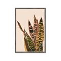 Picture of Color Block Leaves V _GroupedProduct_Rectangle_Portrait_Framed_Matted_