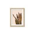 Picture of Color Block Leaves V _GroupedProduct_Rectangle_Portrait_Framed_Matted_