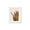 Picture of Color Block Leaves V _GroupedProduct_Rectangle_Portrait_Framed_Matted_