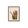 Picture of Color Block Leaves V _GroupedProduct_Rectangle_Portrait_Framed_Matted_